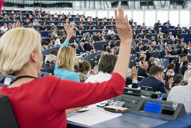 Teamwork im Europäischen Parlament. Wie Abgeordnete ihre Büros besetzen.